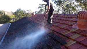 roof Cleaning